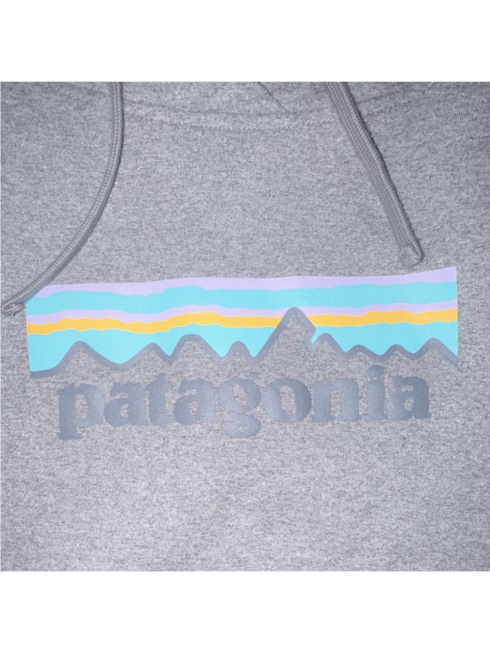 Patagonia Light Gray Hoodie with Tonal Logo Print